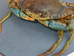 斯里兰卡青蟹-Ministry of Crab•MOC(交子大道店)