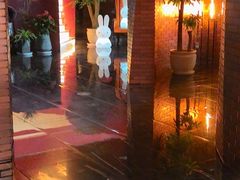 -鱼翅楼·津派砂锅鱼翅(水上公园店)