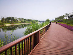 -西海子公园