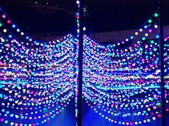 -龙环葡韵住宅式博物馆