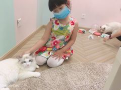 -酷豆宠物咖啡·宠物美食·撸猫馆