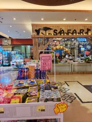 -卡通尼·Safari非洲探索乐园·生日会(金桥国际商业广场店)