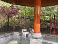 -天目湖御水温泉·度假酒店