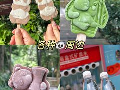 -成都大熊猫繁育研究基地