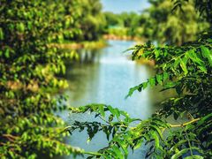 -梁鸿国家湿地公园