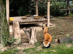 -西安秦岭野生动物园