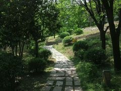 -清凉山国家森林公园