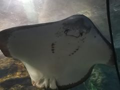 -南昌海洋公园