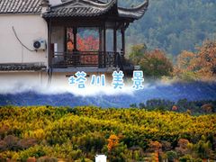 -塔川景区