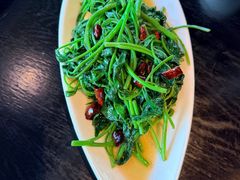 -三生三味密宗川菜(来福士店)