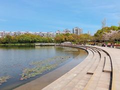 -新江湾城公园