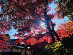 -常寂光寺