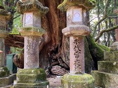 -奈良公园