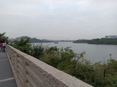 -立新湖公园