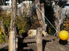 -青藏高原野生动物园