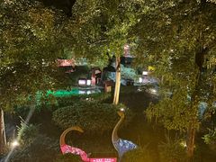 -森波拉火山温泉