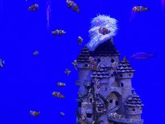 -海合安武汉极地海洋公园