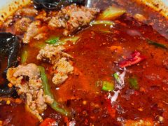 -眉州东坡(望京店)