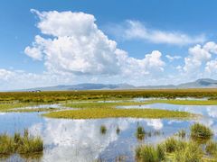 -花湖生态旅游区