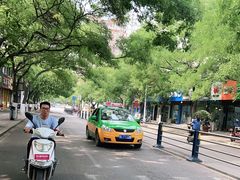 -大槐树寻根祭祖园