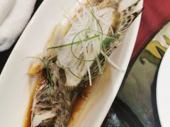 -十八棵（老龙井）御茶园(老龙井店)