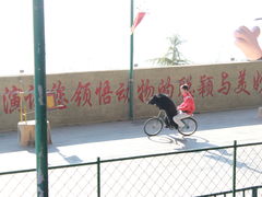 -东方熊牧场