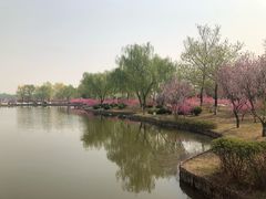 -石家庄市植物园