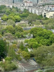 -咪咪专业脱毛连锁机构