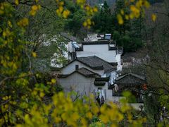 -塔川景区