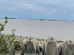 -上海滨江森林公园