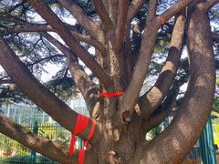 -国家植物园南园