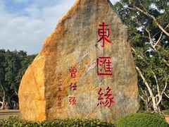 -万绿园