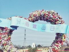 -紫颐香薰山谷景区
