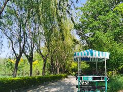 -塘沽森林公园