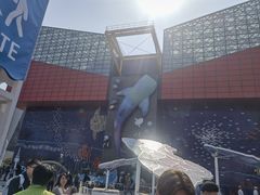 -大阪海游馆