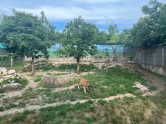 -西安秦岭野生动物园