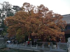 -香山公园