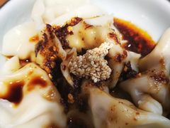红油水饺-皇城坝小吃(科华成都王府井购物中心店)