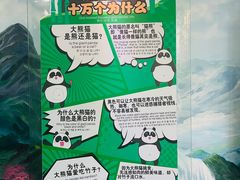 -灵玲国际马戏城