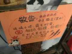-Anne猫窝咖啡屋
