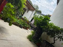 -美味之家·湖景农家乐(太湖东山店)