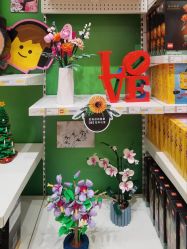 -乐高授权专卖店(济南万象城店)