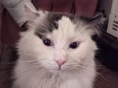 -鸥迪足道会馆(北京街店)