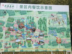 -黄海国家森林公园