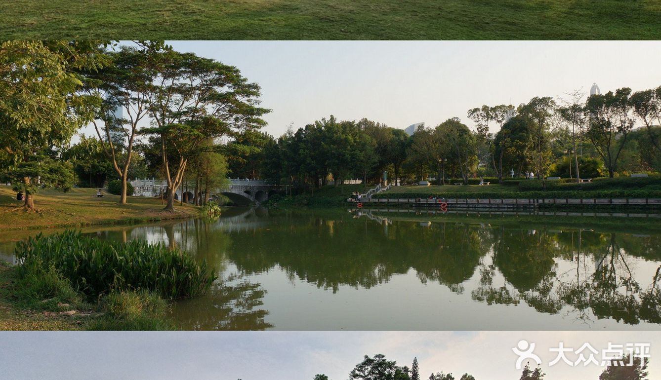深圳人的后花园|满足你一切愿望的宝藏公园