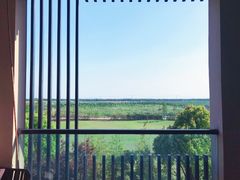 -上海崇明金茂凯悦酒店