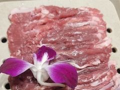 -草原传奇鲜羊火锅(桥北店)