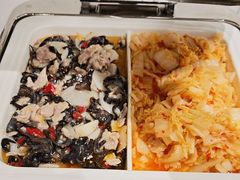 -虹桥机场国航贵宾室v8