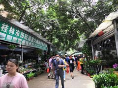 -桂林市花鸟市场