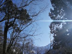 -黄龙山原始森林景区